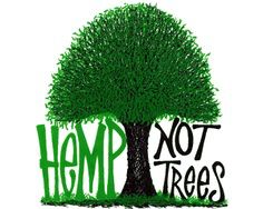 Hemp not trees